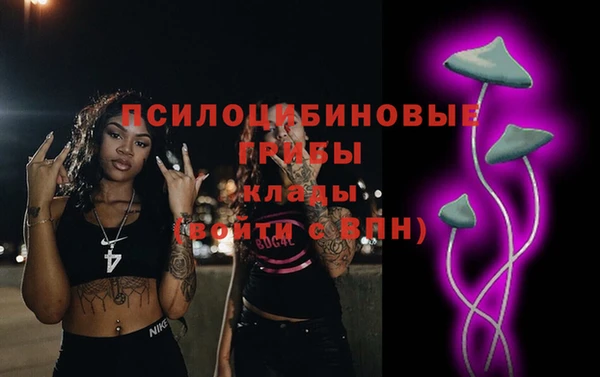 a pvp Богородск