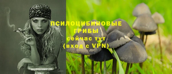 a pvp Богородск