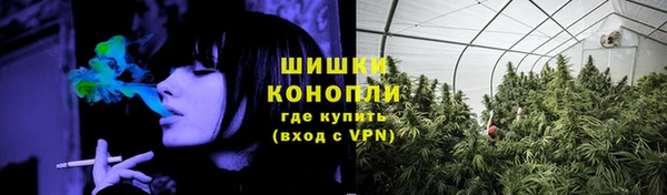 ECSTASY Богданович