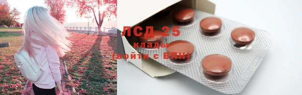 стаф Богородицк