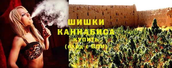 стаф Богородицк