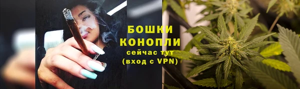 ECSTASY Богданович