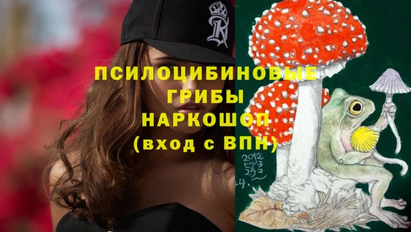 ECSTASY Богданович