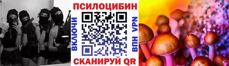 Псилоцибиновые грибы Cubensis  Козьмодемьянск 
